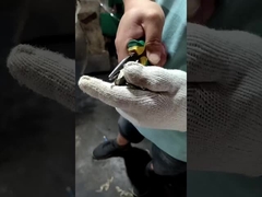 การพ่นกาว